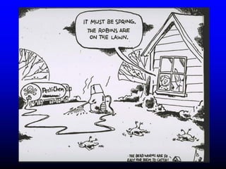 Insecticide classifications and toxicity.pdf