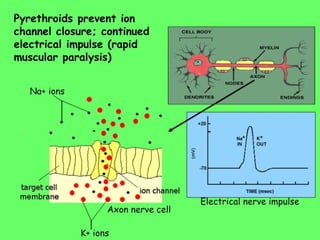 Insecticide classifications and toxicity.pdf