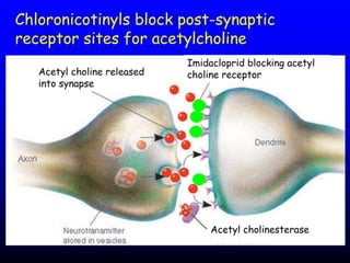 Insecticide classifications and toxicity.pdf