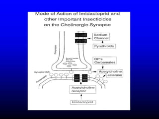 Insecticide classifications and toxicity.pdf