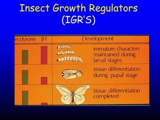 Insecticide classifications and toxicity.pdf