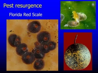 Insecticide classifications and toxicity.pdf