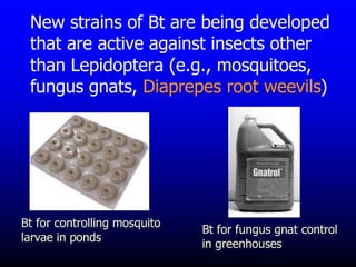 Insecticide classifications and toxicity.pdf