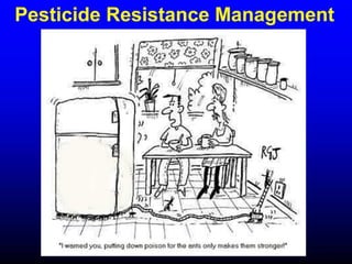Insecticide classifications and toxicity.pdf