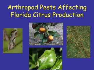 Insecticide classifications and toxicity.pdf