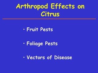 Insecticide classifications and toxicity.pdf