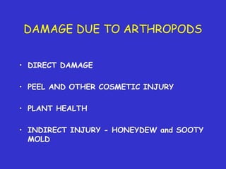 Insecticide classifications and toxicity.pdf