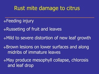 Insecticide classifications and toxicity.pdf