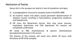 Mechanism of Toxicity
Excess Ach in the synapse can lead to 3 sets of symptoms and signs:
1) at postganglionic muscarinic synapses lead to SLUDGE/ BBB.
2) At nicotinic motor end plates causes persistent depolarization of
skeleton muscle resulting in fasciculations, progressive weakness
and hypotonicity.
3) OP cross the blood-brain barrier, they may cause seizures,
respiratory depression and CNS depression for reasons not
completely understood.
OP binds to RBC cholinesterase & plasma cholinesterase
(pseudocholinesterase) in the serum.
The kinetics of the enzyme will reach zero within 10 hours with
formation of OP-AchE complex.
 