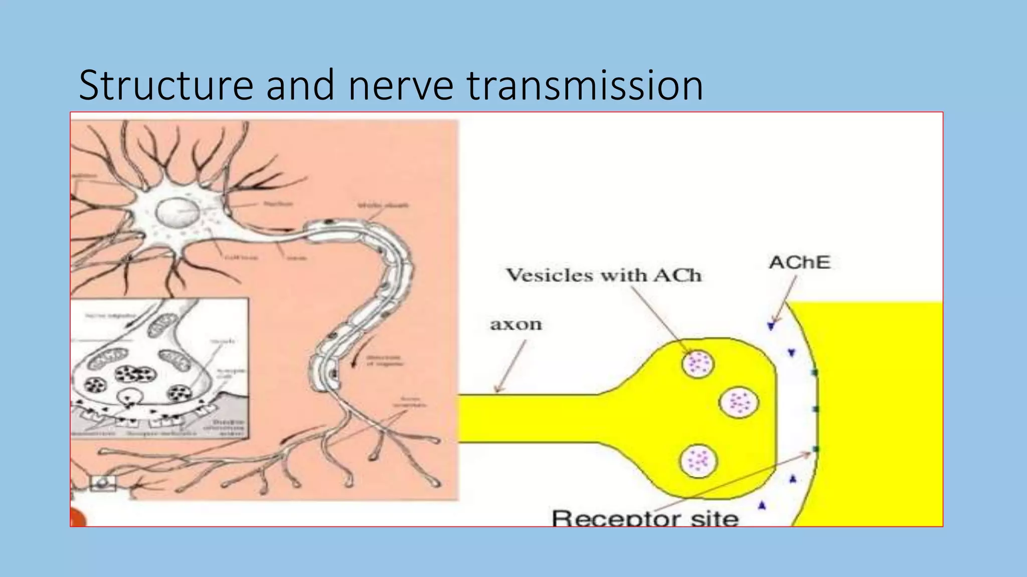 Insecticide resistance in mosquitoes | PPTX