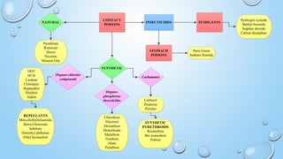 Insecticides | PPTX