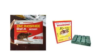 Undertaker Insecticide insecticides and rodenticides psmmbbs.pptx