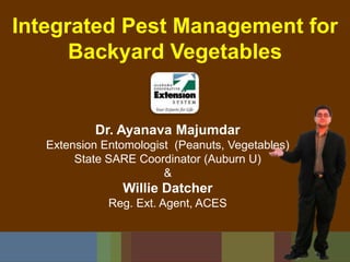 Integrated Pest Management for Backyard Vegetables Dr. Ayanava Majumdar Extension Entomologist  (Peanuts, Vegetables) State SARE Coordinator (Auburn U) & Willie Datcher Reg. Ext. Agent, ACES 