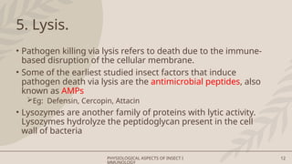 Lyse Insect Physiological aspects of insect Immunology | PPTX