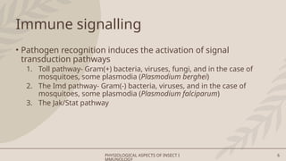 Toll Insect Physiological aspects of insect Immunology | PPTX