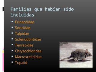 Familias que habían sido
incluidas
 Erinaceidae
 Soricidae
 Talpidae
 Solenodontidae
 Tenrecidae
 Chrysochloridae
 Macroscelididae
 Tupaiid
 