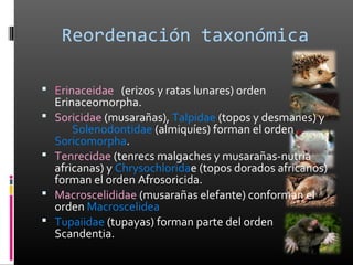 Reordenación taxonómica

 Erinaceidae (erizos y ratas lunares) orden
    Erinaceomorpha.
   Soricidae (musarañas), Talpidae (topos y desmanes) y
        Solenodontidae (almiquíes) forman el orden
    Soricomorpha.
   Tenrecidae (tenrecs malgaches y musarañas-nutria
    africanas) y Chrysochloridae (topos dorados africanos)
    forman el orden Afrosoricida.
   Macroscelididae (musarañas elefante) conforman el
    orden Macroscelidea
   Tupaiidae (tupayas) forman parte del orden
    Scandentia.
 