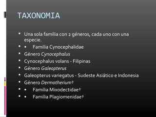 TAXONOMIA
 Una sola familia con 2 géneros, cada uno con una
    especie.
   • Familia Cynocephalidae
   Género Cynocephalus
   Cynocephalus volans - Filipinas
   Género Galeopterus
   Galeopterus variegatus - Sudeste Asiático e Indonesia
   Género Dermotherium†
   • Familia Mixodectidae†
   • Familia Plagiomenidae†
 