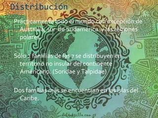 Distribución
Prácticamente todo el mundo con excepción de
  Australia, sur de Sudamérica y las regiones
  polares.

Sólo 2 familias de las 7 se distribuyen en
  territorio no insular del continente
  Américano. (Soridae y Talpidae)

Dos familias más se encuentran en las islas del
 Caribe.
 