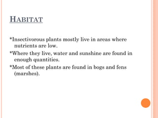 HABITAT

*Insectivorous plants mostly live in areas where
  nutrients are low.
*Where they live, water and sunshine are found in
  enough quantities.
*Most of these plants are found in bogs and fens
  (marshes).
 