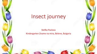 Insect journey
Stefka Pavlova
Kindergarten Zname na mira, Belene, Bulgaria
 