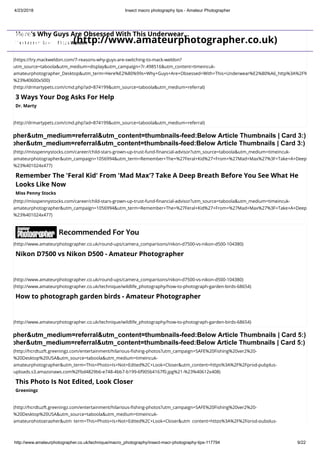 Insect macro photography tips | PDF