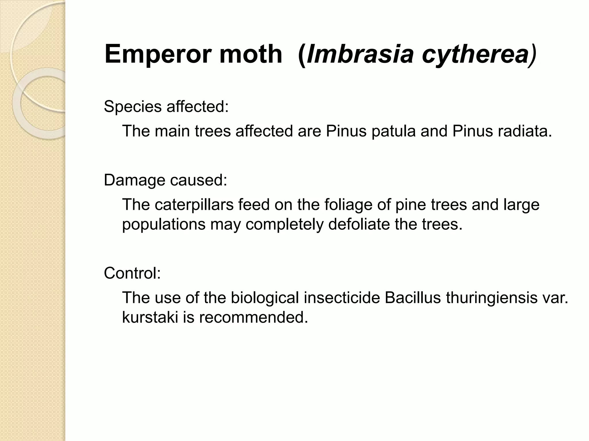 Insect, mite and nematode pests of forest | PPTX