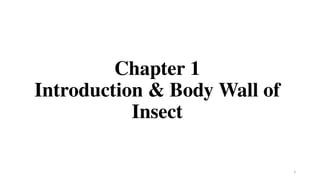 Insect Morphology - Full Course for Undergaduate Students.pptx
