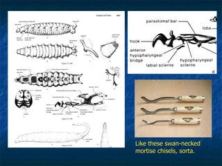 Like these swan-necked mortise chisels, sorta. 