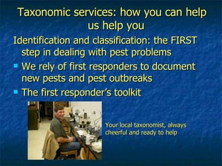 Taxonomic services: how you can help us help you Identification and classification: the FIRST step in dealing with pest problems We rely of first responders to document new pests and pest outbreaks The first responder’s toolkit Your local taxonomist, always cheerful and ready to help 