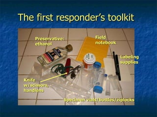 The first responder’s toolkit Specimen vials/bottles/ziplocks Labeling supplies Field notebook Preservative: ethanol Knife w/scissors, handlens 