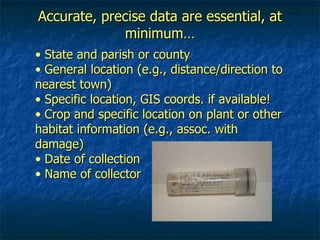 Accurate, precise data are essential, at minimum… State and parish or county General location (e.g., distance/direction to nearest town) Specific location, GIS coords. if available! Crop and specific location on plant or other habitat information (e.g., assoc. with damage) Date of collection Name of collector 
