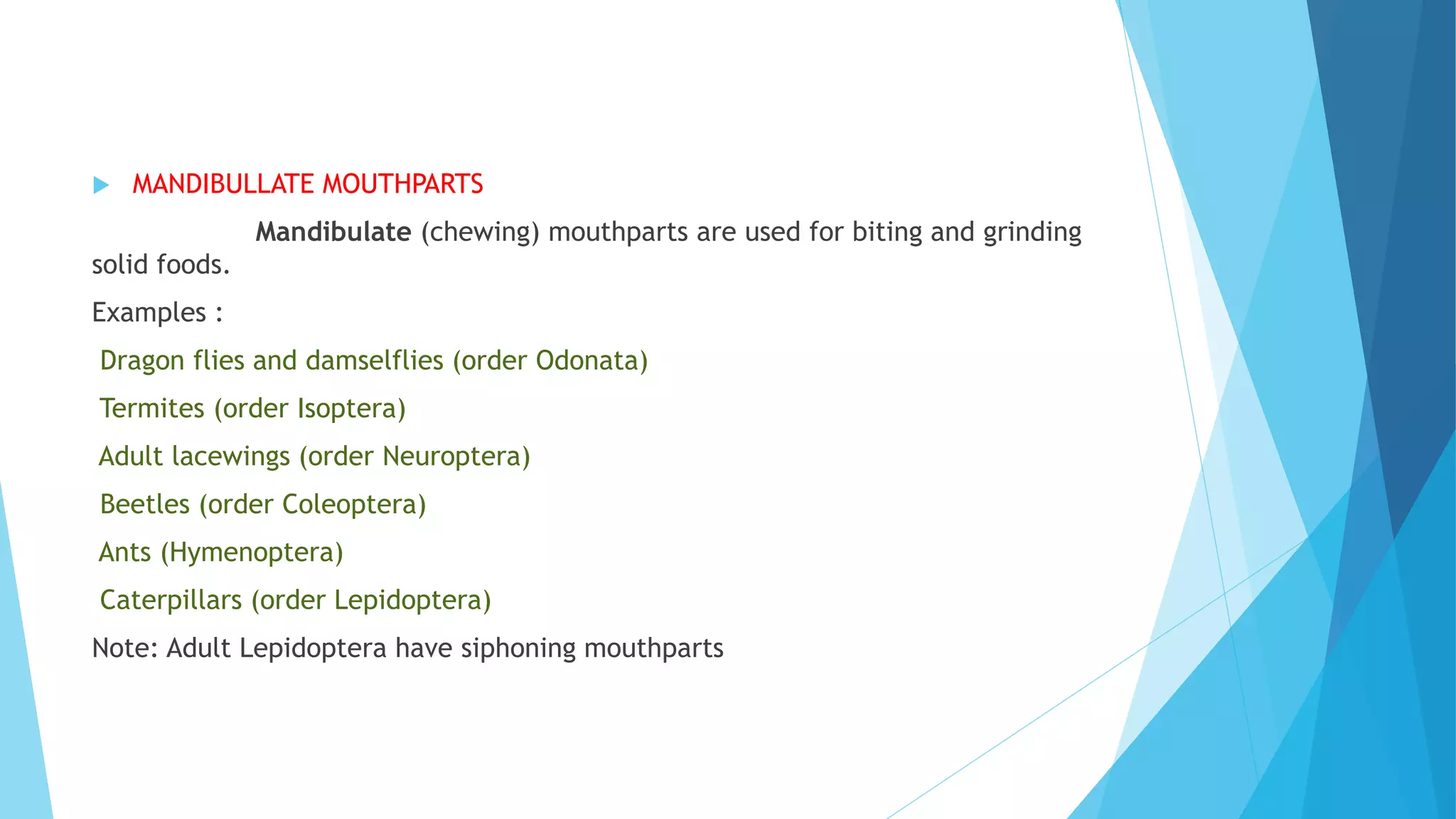 INSECT MOUTH PARTS AND THEIR MODIFICATION.pptx