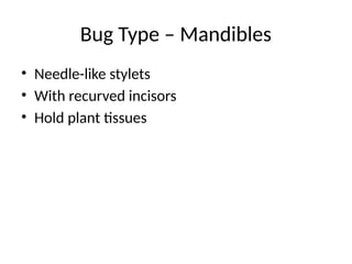 Comprehensive Study of Insect Mouth Parts: Structure, Types, and ...
