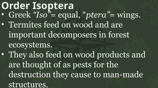 Order Isoptera Insects CHARACTERISTICS OF ALL INSECT ORDERS.pptx