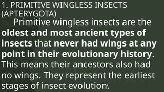 First Insect Order CHARACTERISTICS OF ALL INSECT ORDERS.pptx