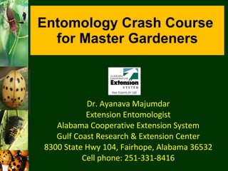 Entomology Crash Course  for Master Gardeners Dr. Ayanava Majumdar Extension Entomologist Alabama Cooperative Extension System Gulf Coast Research & Extension Center 8300 State Hwy 104, Fairhope, Alabama 36532 Cell phone: 251-331-8416 