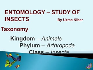 ENTOMOLOGY – STUDY OF
INSECTS By Uzma Nihar
Taxonomy
Kingdom – Animals
Phylum – Arthropoda
Class – Insecta
 
