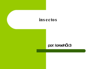insectos por: loreeh’ <3 