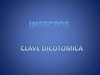 INSECTOS CLAVE DICOTÓMICA 1 