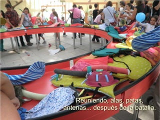 Reuniendo, alas, patas,
antenas... después de la batalla.
 