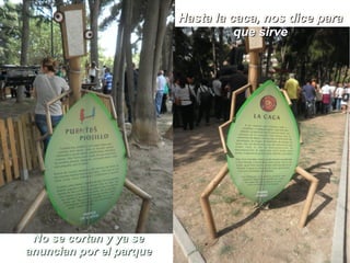 Hasta la caca, nos dice para
                                   que sirve




 No se cortan y ya se
anuncian por el parque
 