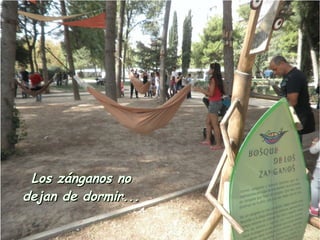 Los zánganos no
dejan de dormir...
 