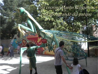 Una enorme Mantis Religiosa se
 está apoderando del parque
 