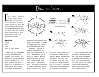Insectos | PDF