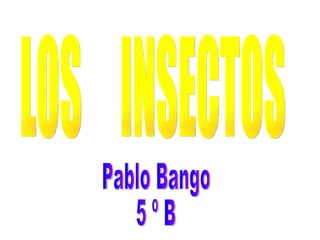 LOS  INSECTOS Pablo Bango 5 º B 