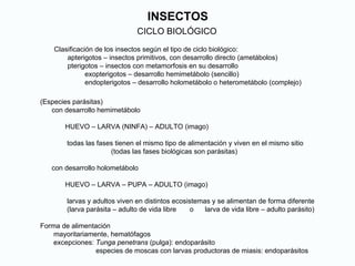 INSECTOS
CICLO BIOLÓGICO
Clasificación de los insectos según el tipo de ciclo biológico:
apterigotos – insectos primitivos, con desarrollo directo (ametábolos)
pterigotos – insectos con metamorfosis en su desarrollo
exopterigotos – desarrollo hemimetábolo (sencillo)
endopterigotos – desarrollo holometábolo o heterometábolo (complejo)
(Especies parásitas)
con desarrollo hemimetábolo
HUEVO – LARVA (NINFA) – ADULTO (imago)
todas las fases tienen el mismo tipo de alimentación y viven en el mismo sitio
(todas las fases biológicas son parásitas)
con desarrollo holometábolo
HUEVO – LARVA – PUPA – ADULTO (imago)
larvas y adultos viven en distintos ecosistemas y se alimentan de forma diferente
(larva parásita – adulto de vida libre o larva de vida libre – adulto parásito)
Forma de alimentación
mayoritariamente, hematófagos
excepciones: Tunga penetrans (pulga): endoparásito
especies de moscas con larvas productoras de miasis: endoparásitos
 
