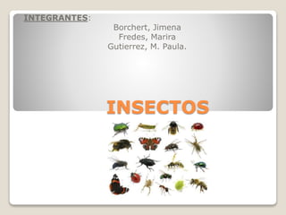INSECTOS
INTEGRANTES:
Borchert, Jimena
Fredes, Marira
Gutierrez, M. Paula.
 