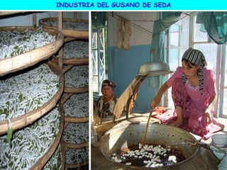 INDUSTRIA DEL GUSANO DE SEDA
 