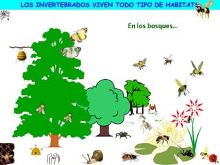 LOS INVERTEBRADOS VIVEN TODO TIPO DE HABITATS
En los bosques…
 